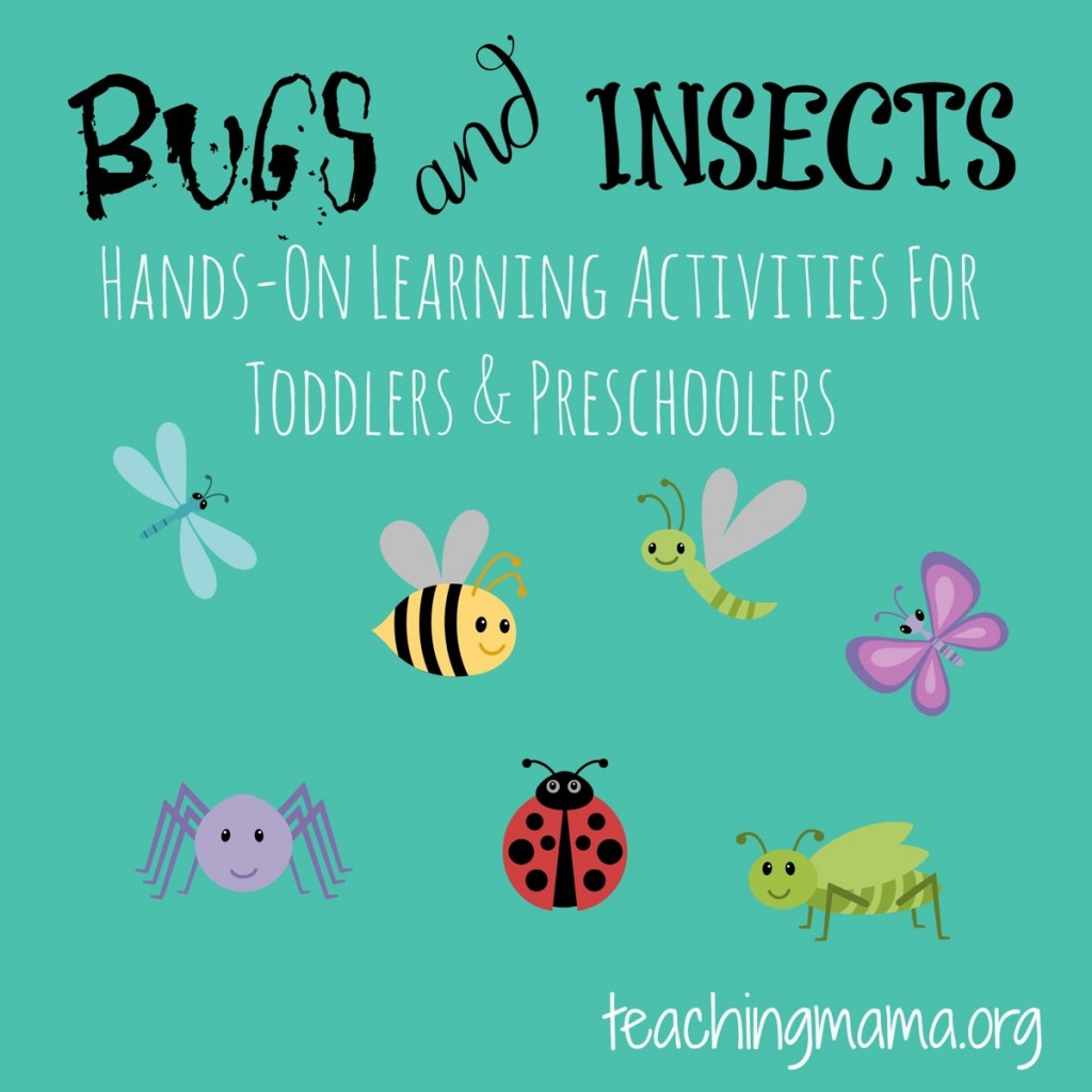 Bugs & Insects -- Hands on learning activities for toddlers and preschoolers