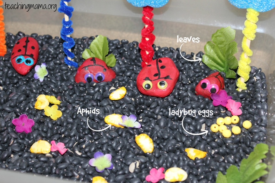 Ladybug Sensory Bin