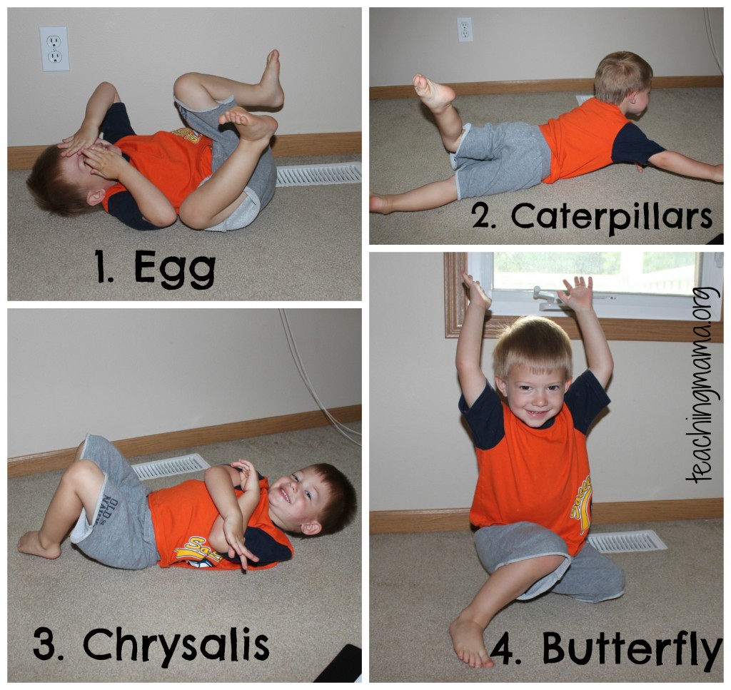 Egg to Butterfly Movement Activity