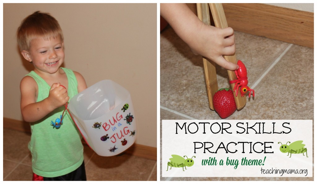 Motor Skills Practice (With a Bug Theme)