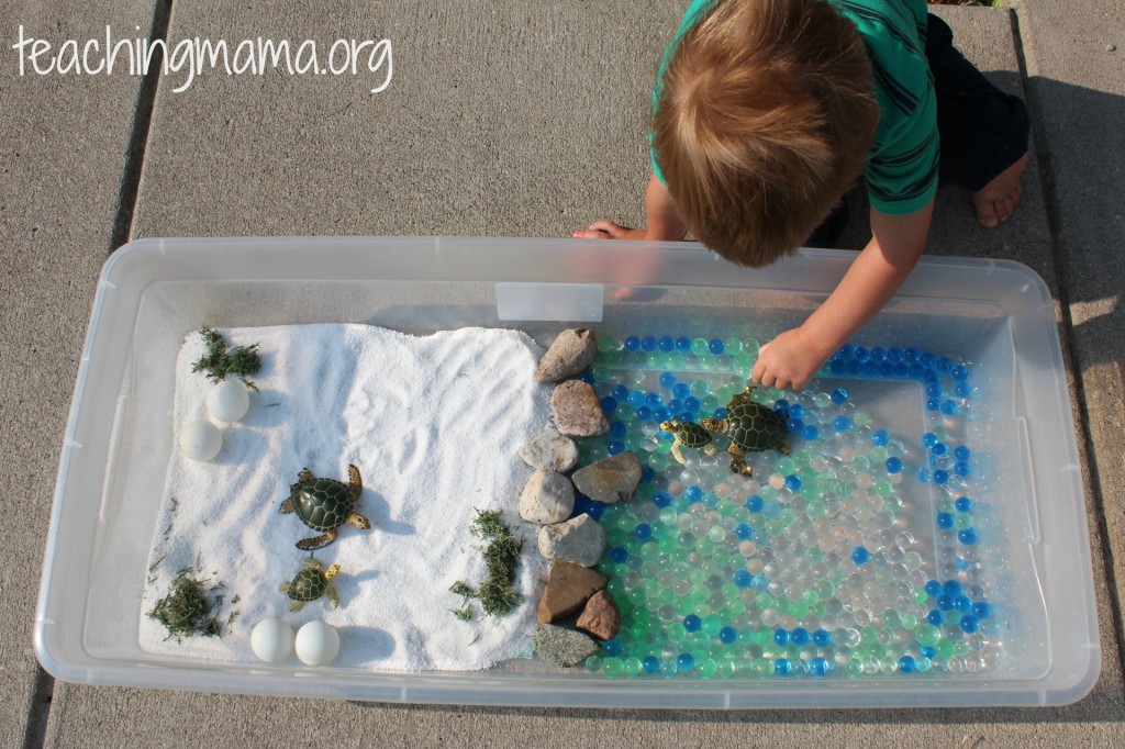 Invitation to Play with Turtle Sensory Bin