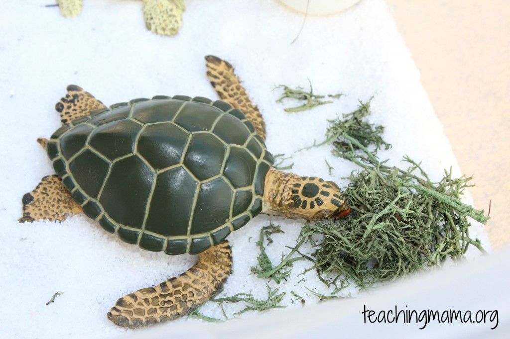 Sea Turtle Sensory Bin