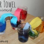 Paper Towel Experiments for Kids