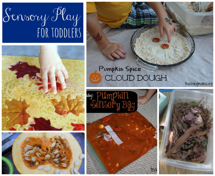 Fall Sensory Play for Toddlers