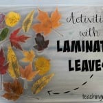 Activities with Laminated Leaves