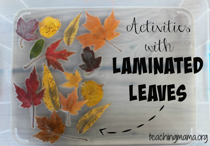 Activities with Laminated Leaves