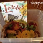 “Leaves” Book Activities