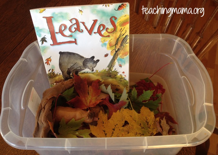 Sensory Bin for Leaves