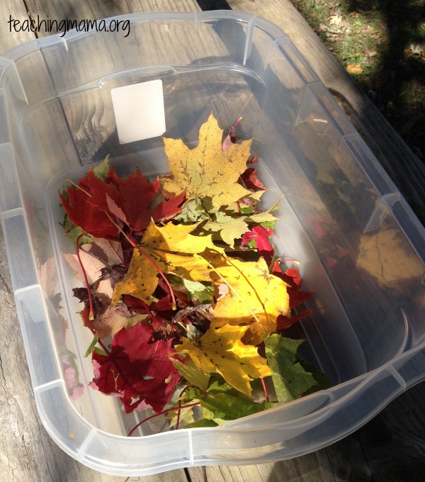 leaf bin