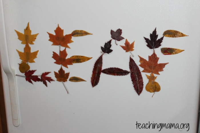 leaf magnets