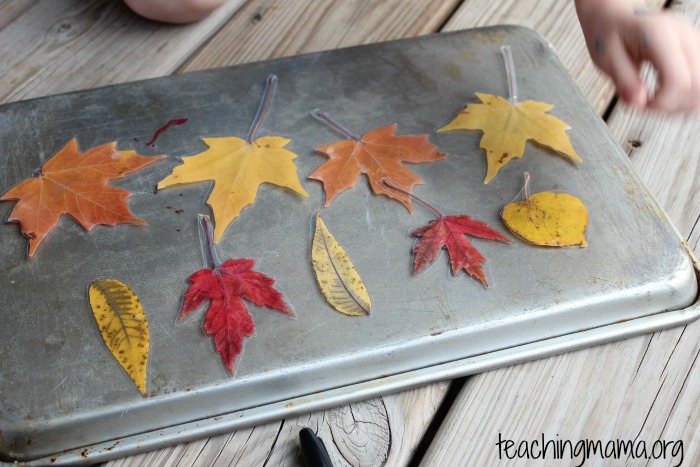 patterns with laminated leaves