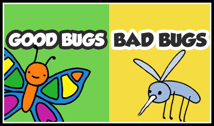 Good Bugs, Bad Bugs