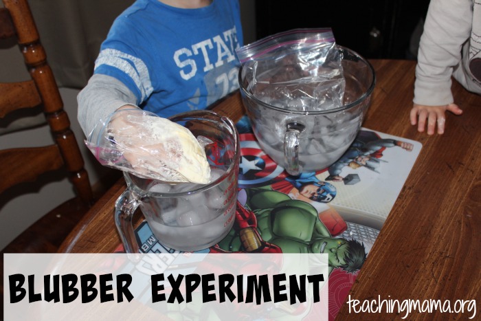 Blubber Experiment