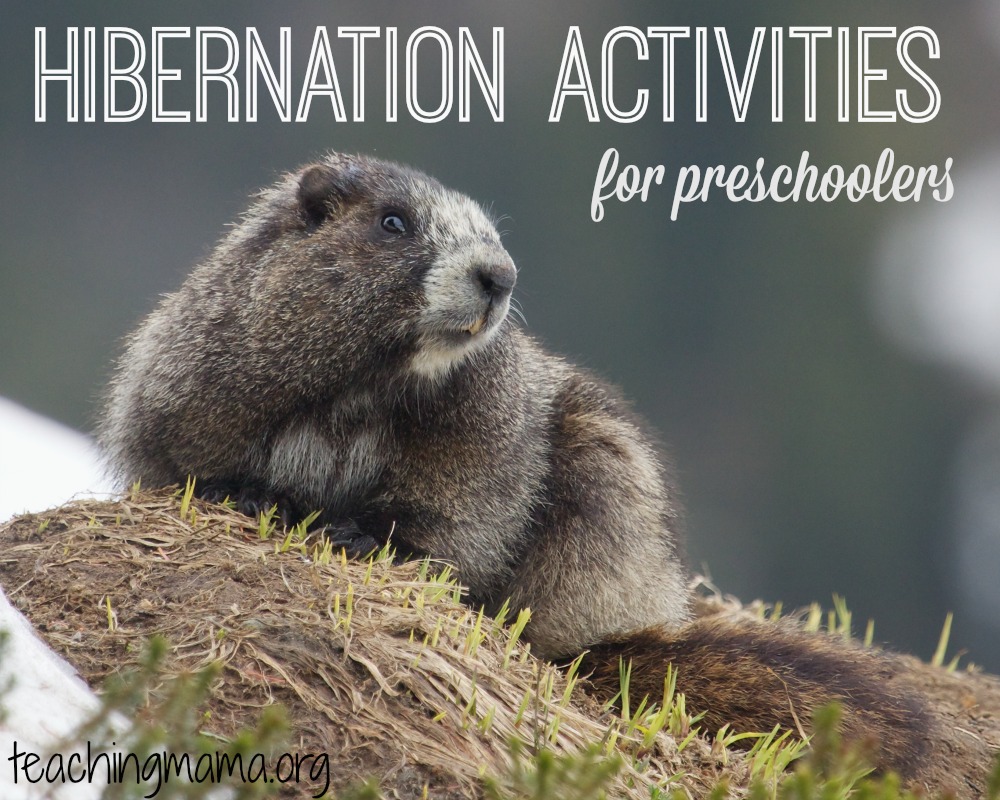 Hibernation Activities for Preschoolers