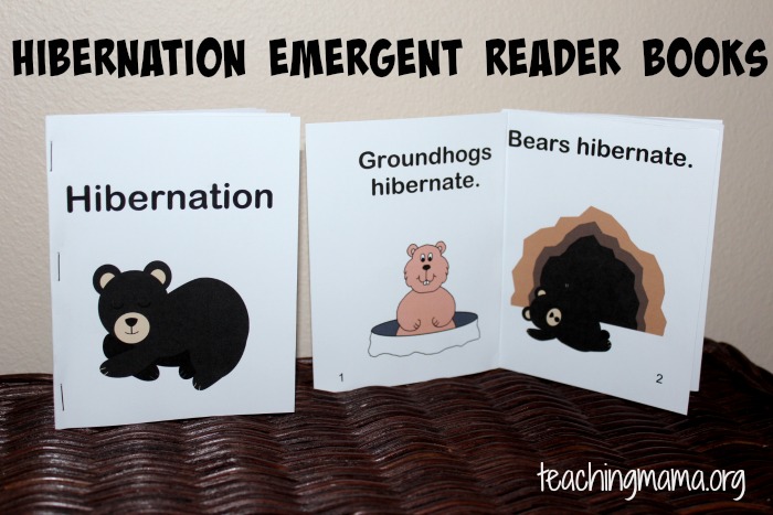 Preschool hibernation theme