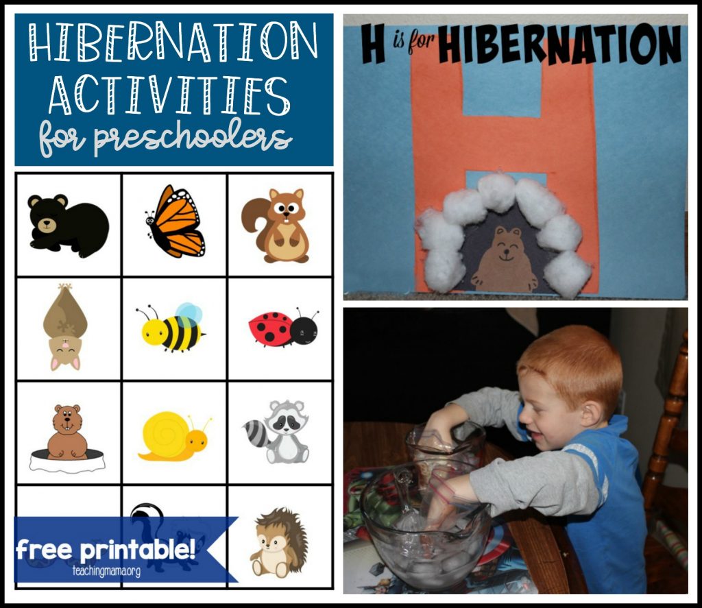 activities for preschoolers about hibernation