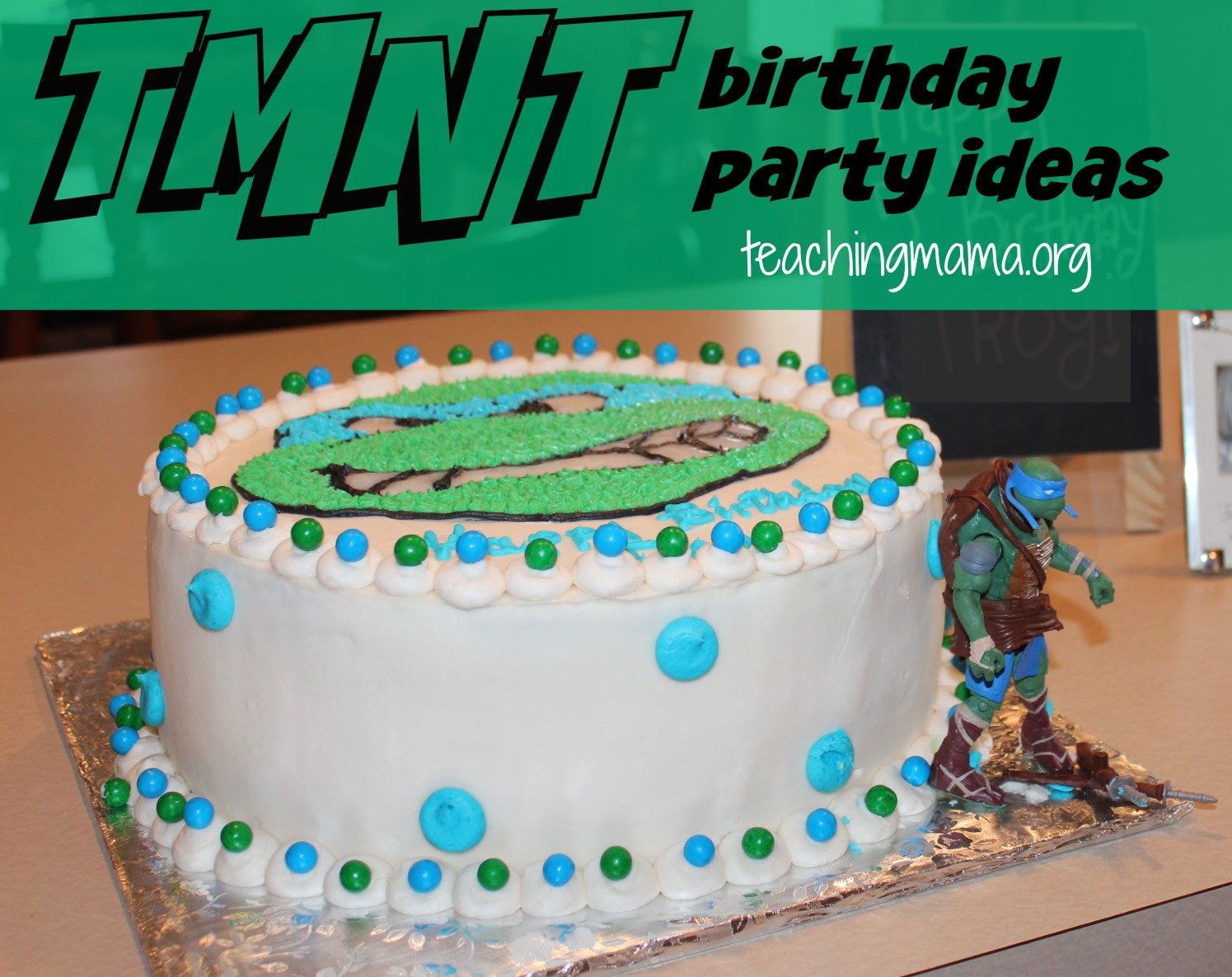 TMNT Birthday Party Ideas