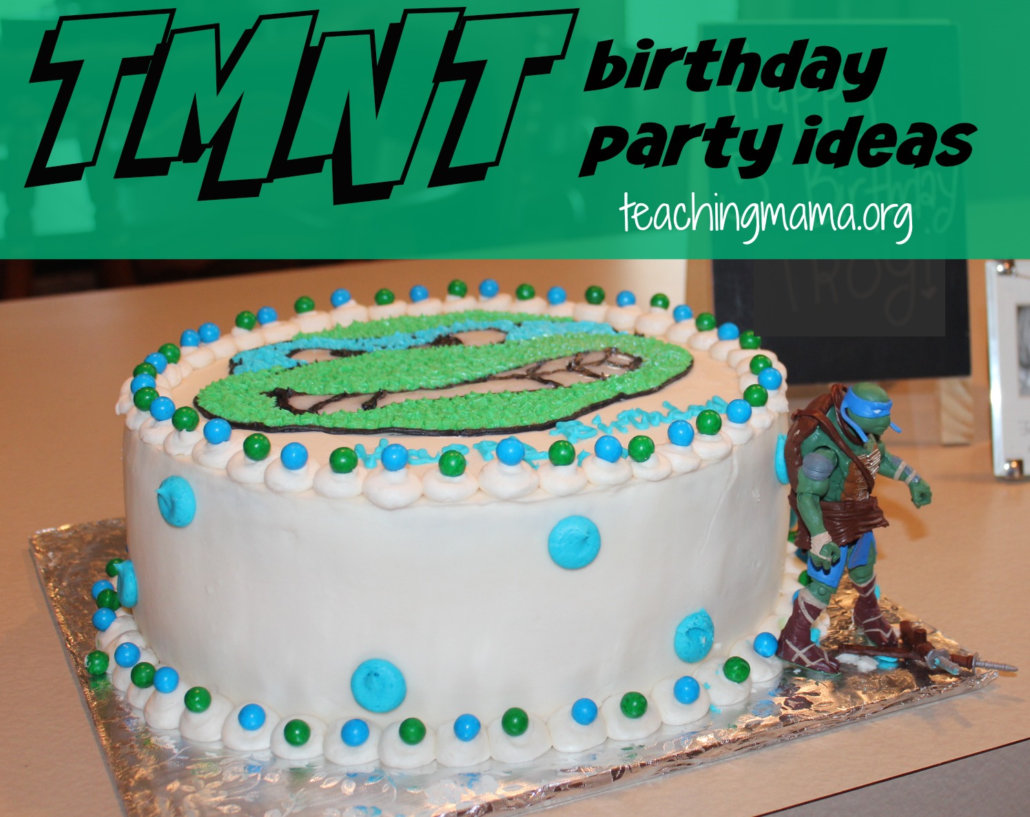 Teenage Mutant Ninja Turtles, Birthday Party