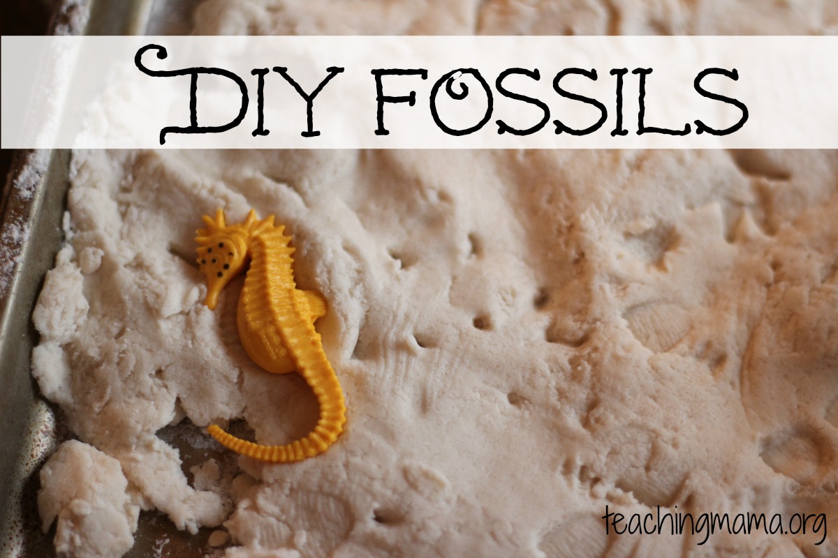 diy fossils