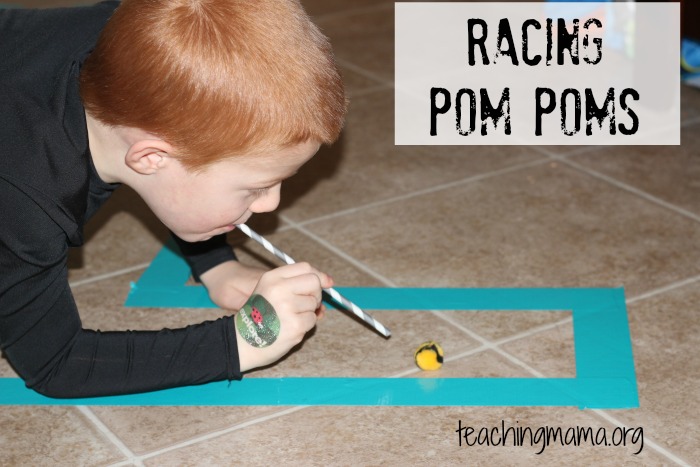 Racing Pom Poms