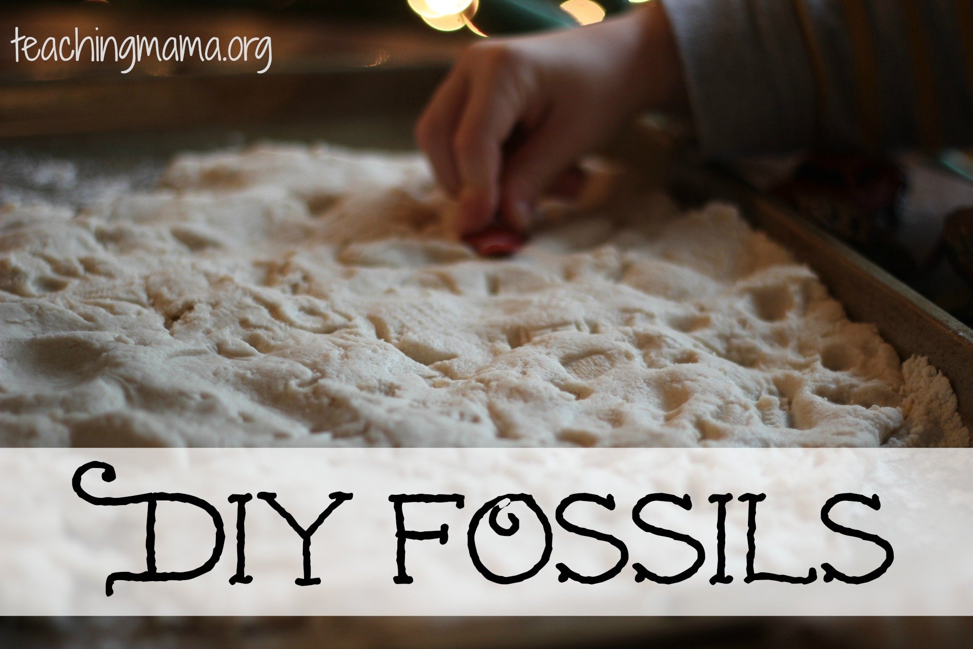 DIY Fossils