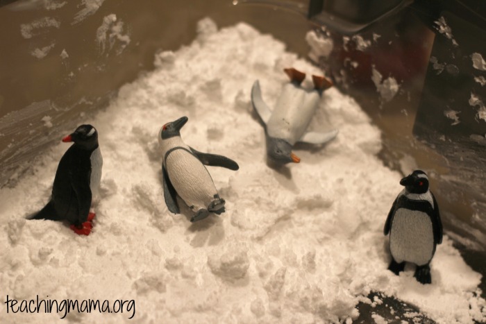 penguins