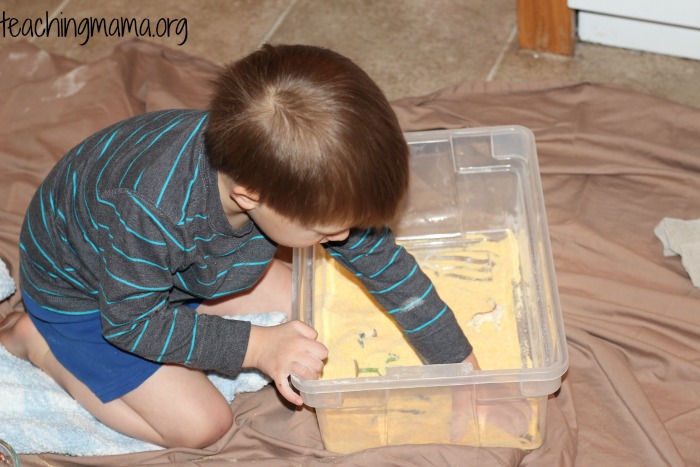 sensory bin