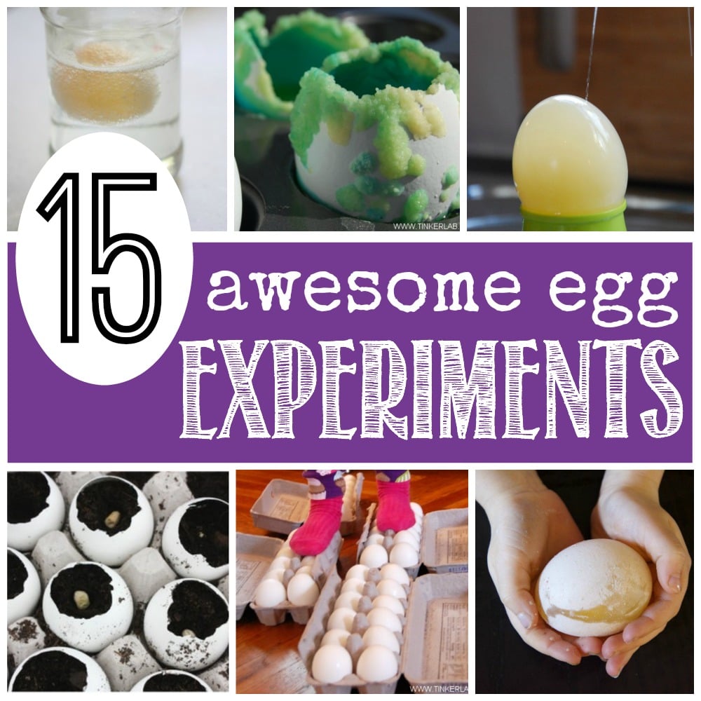 15 Awesome Egg Experiments