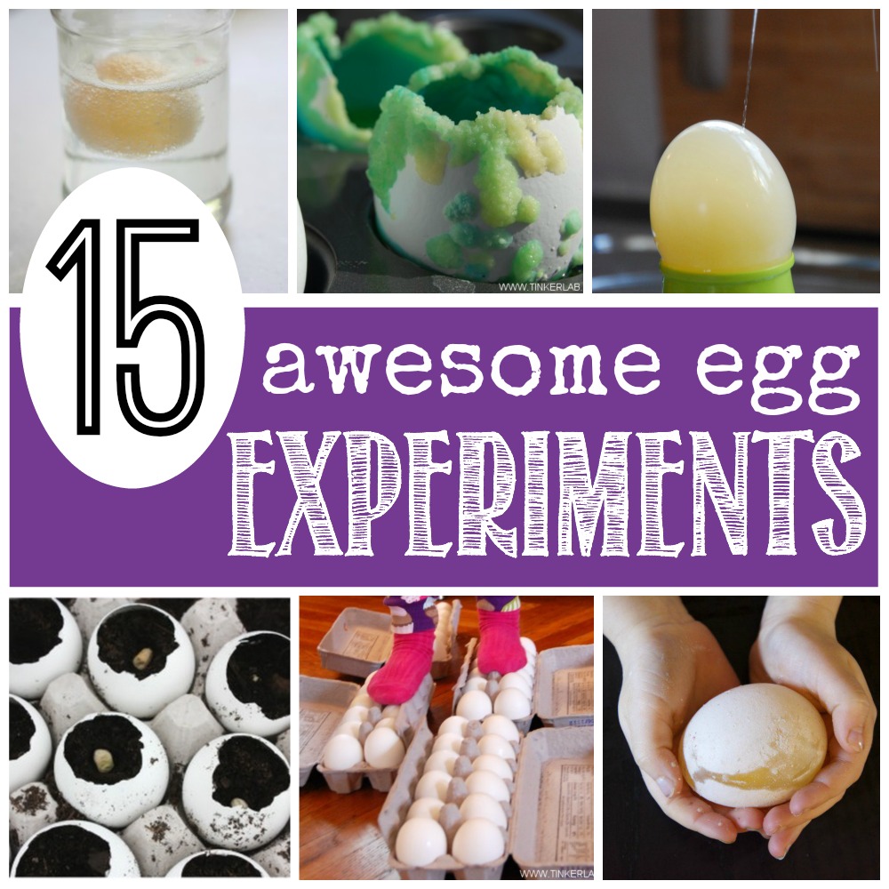 https://teachingmama.org/wp-content/uploads/2015/03/15-Awesome-Egg-Experiments.jpg