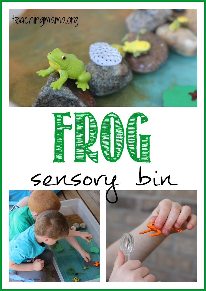 Frog Sensory Bin