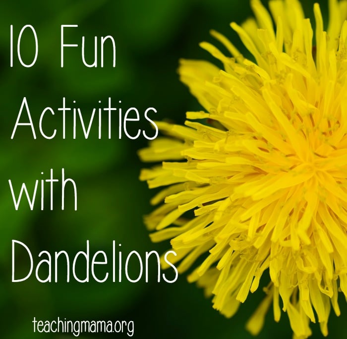 10 Fun Activities with Dandelions