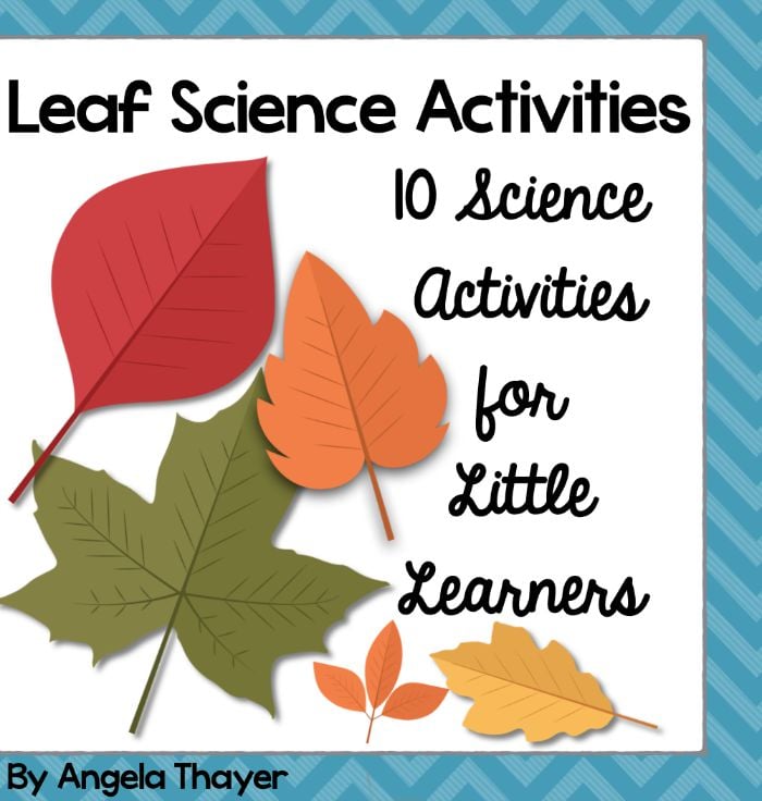 Leaf Science Activities
