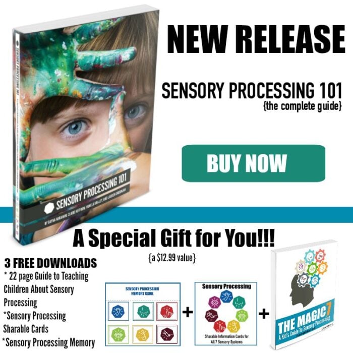 Sensory Processing 101