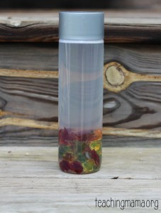 Fall Sensory Bottle - Teaching Mama