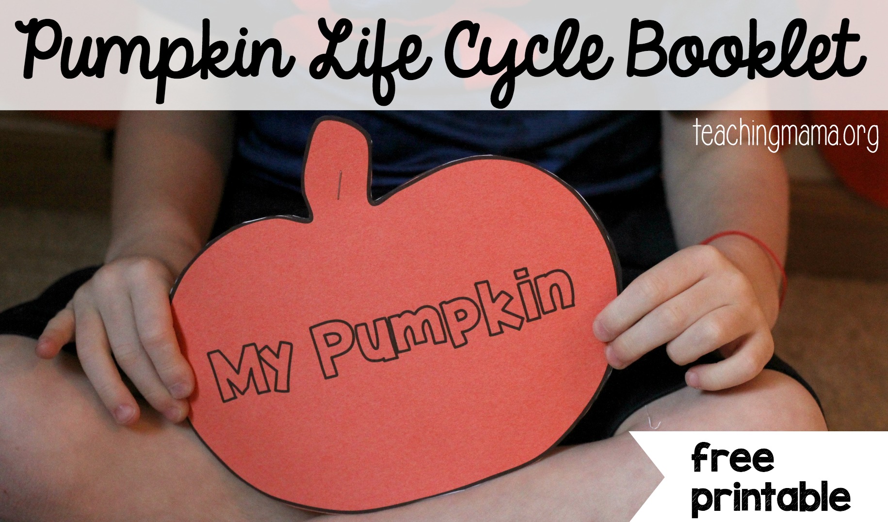 Pumpkin Life Cycle Booklet (Free Printable)