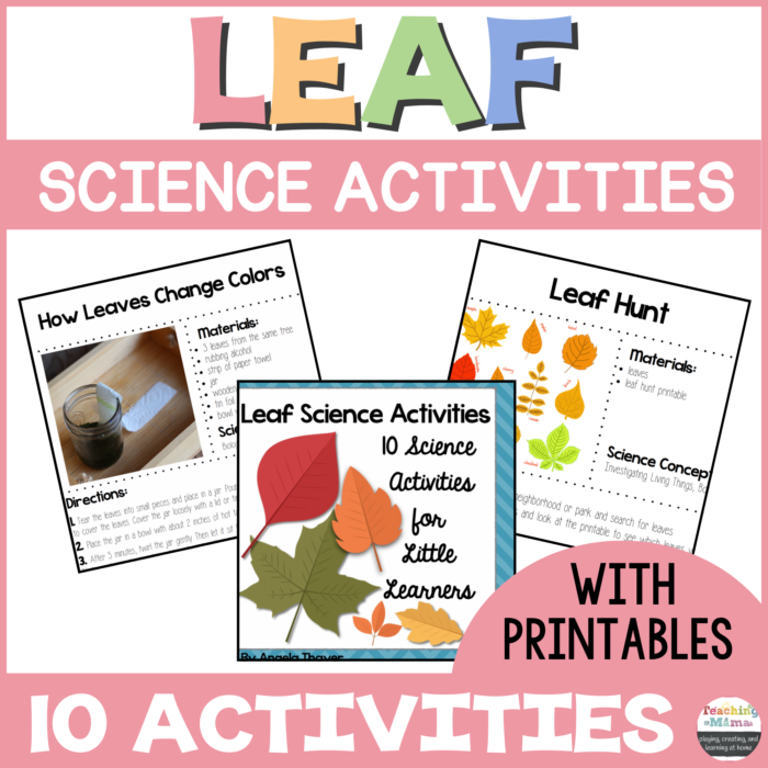 Leaf Science Activities