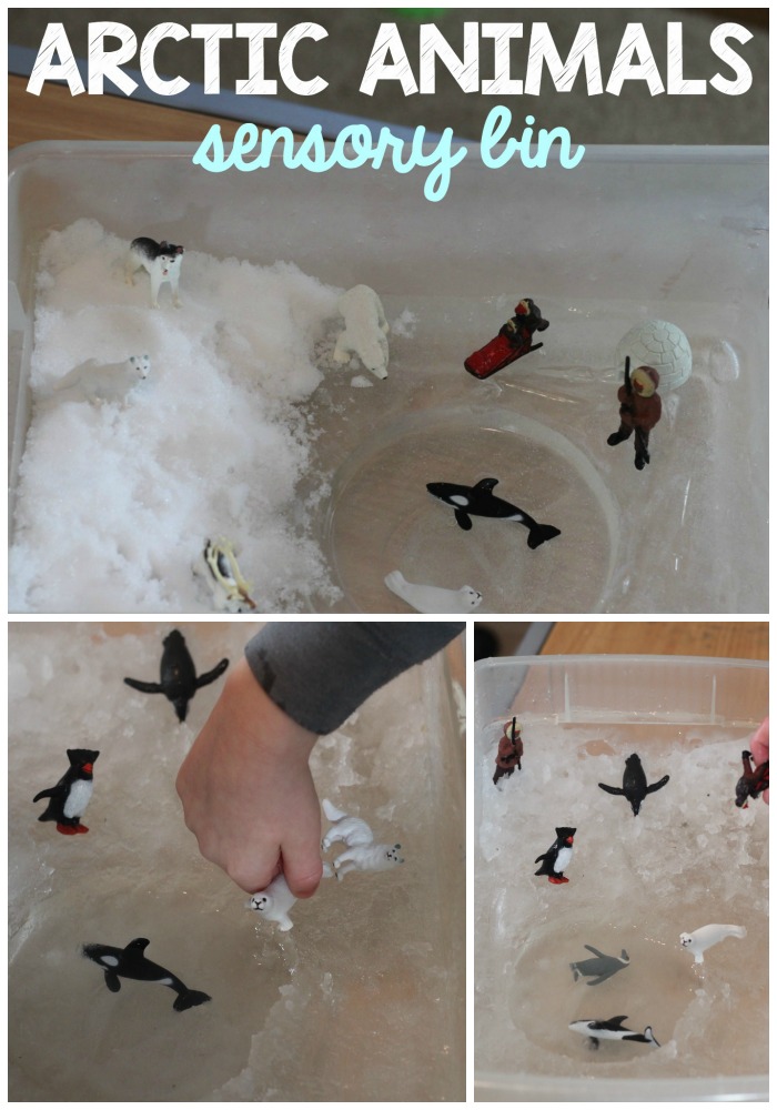 Arctic Sensory Bin for Winter