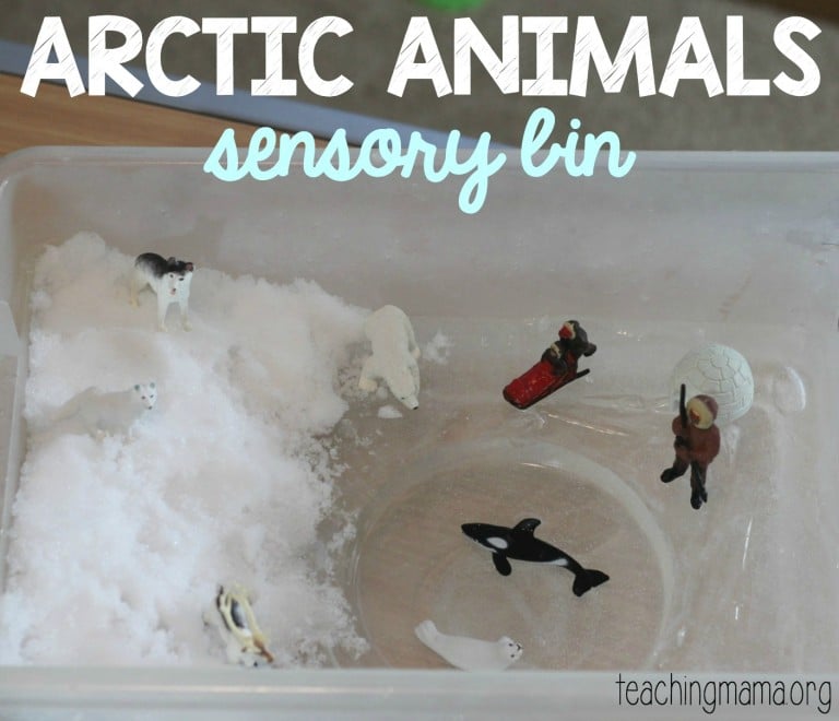 Arctic Animals Sensory Bin