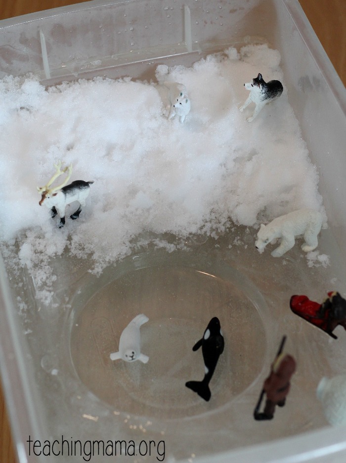 Arctic Animals Sensory Bin - Teaching Mama