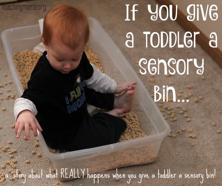 If You Give a Toddler a Sensory Bin…