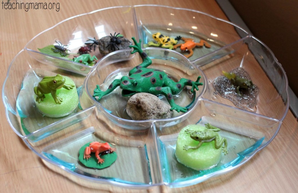 frog sensory play