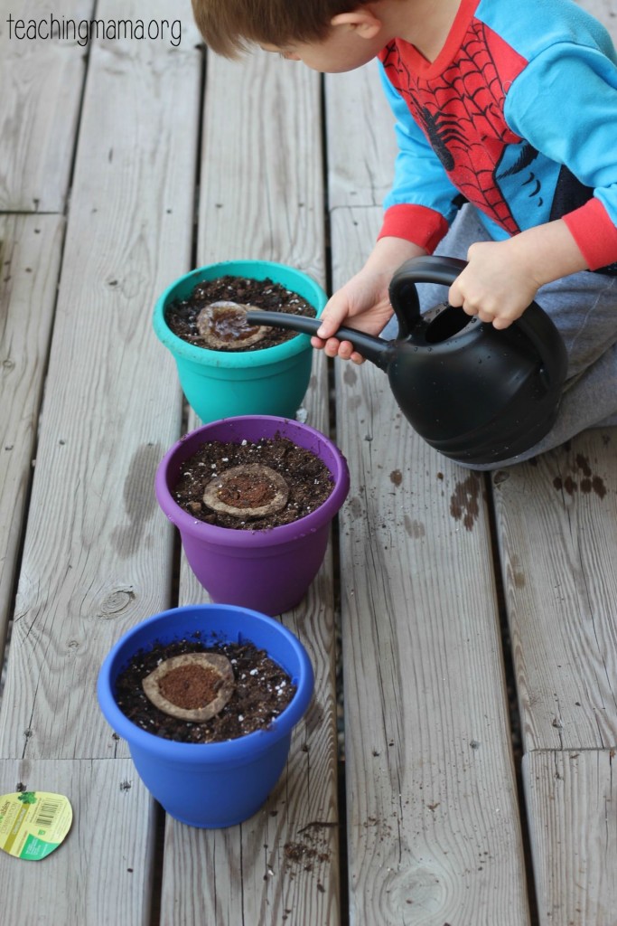 watering seed pods