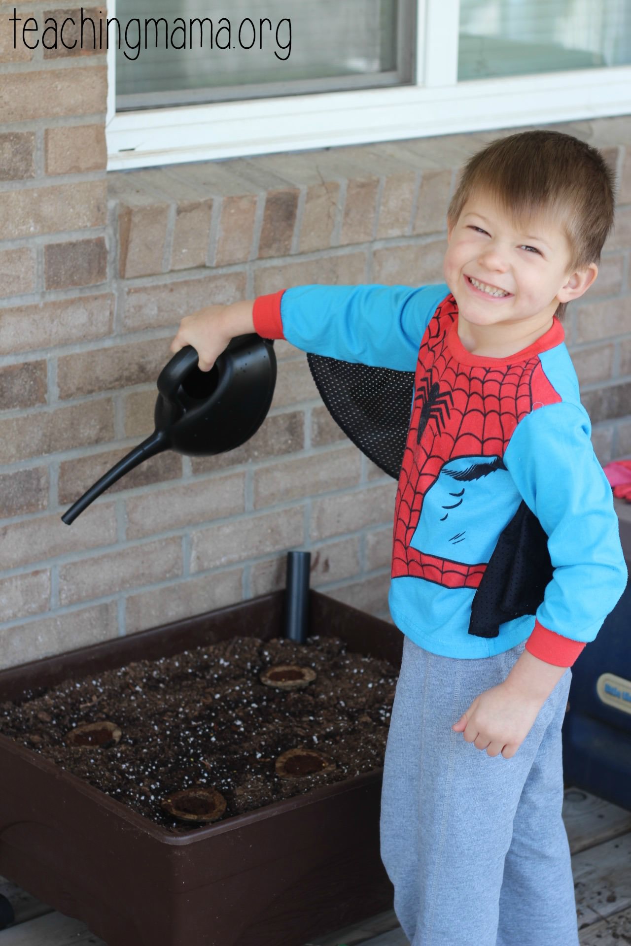 Watering Gro-able seed pods