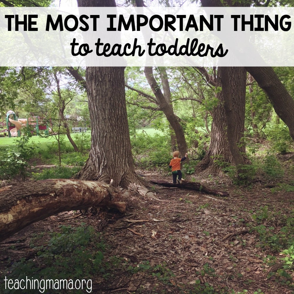 Most Important Thing to Teach Toddlers