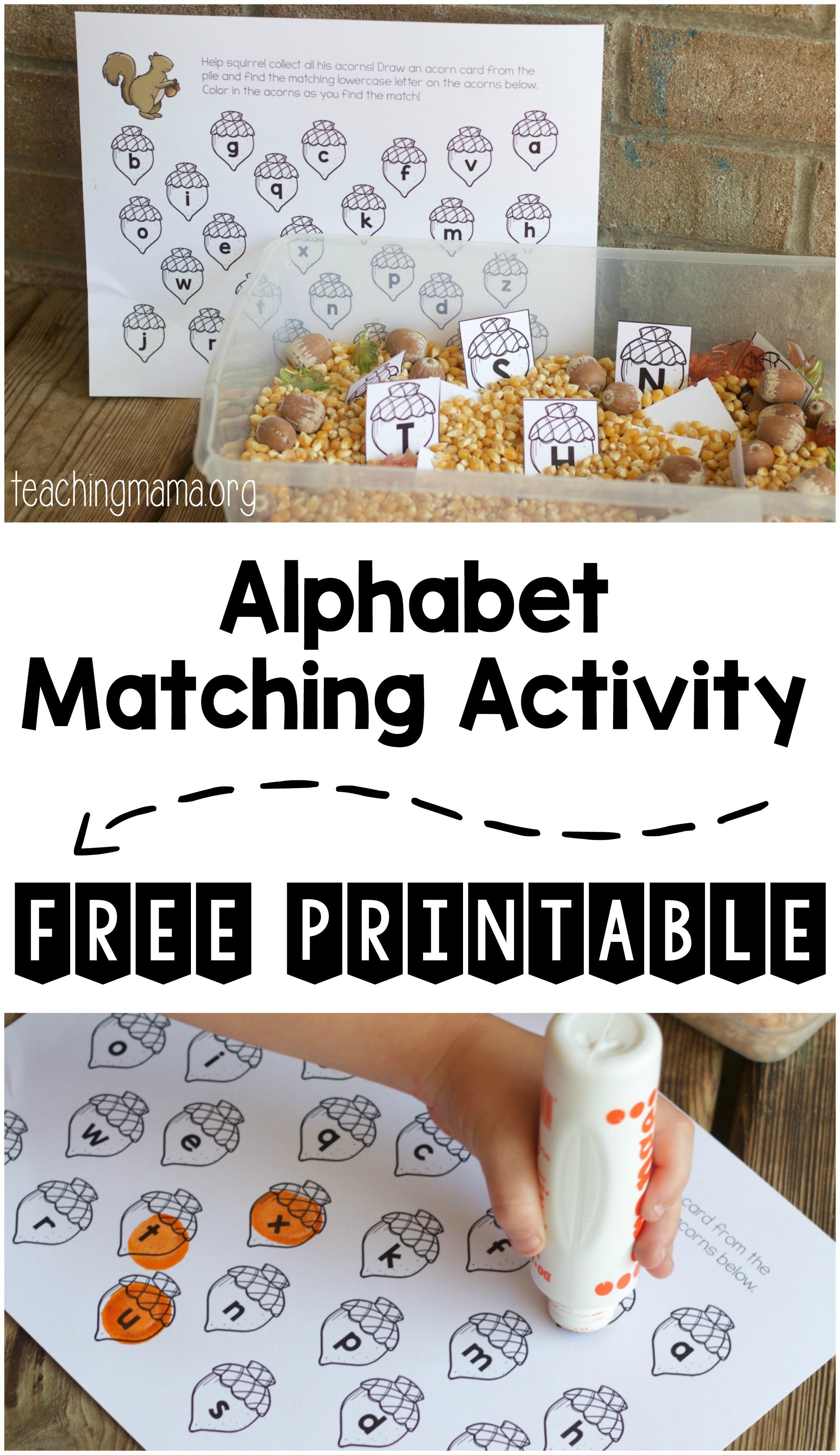 printable r letter Activity Matching Squirrel Alphabet