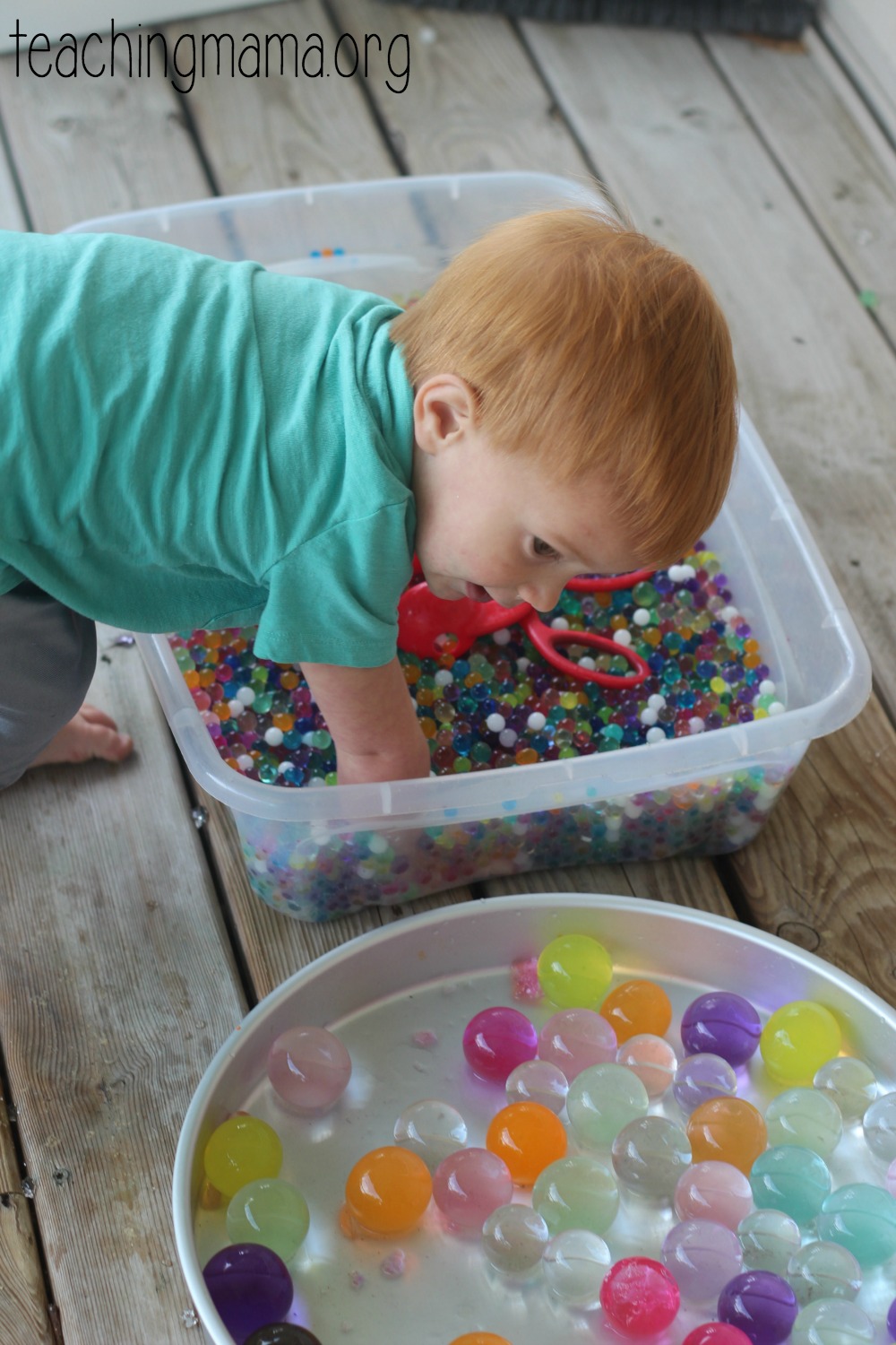 Giant Water Beads - Amazing Sensory Activity