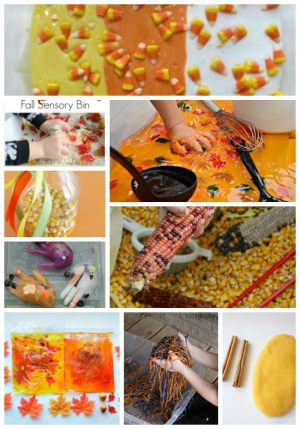 20 Fall Sensory Play Activities