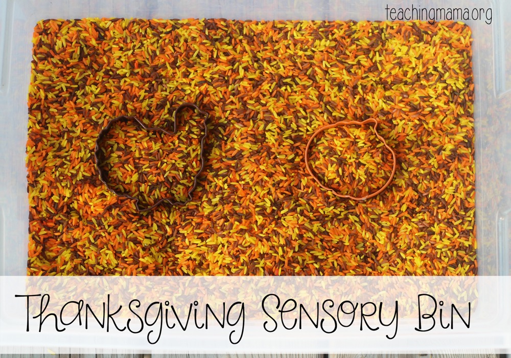 Thanksgiving sensory bin