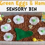 Green Eggs and Ham Sensory Bin