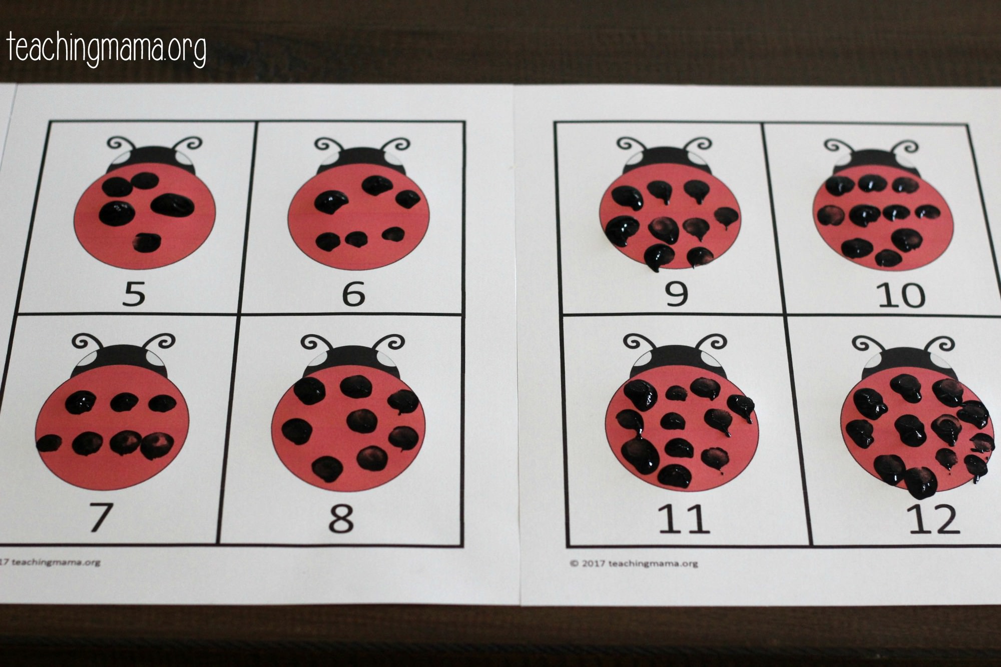 ladybug spots counting activity